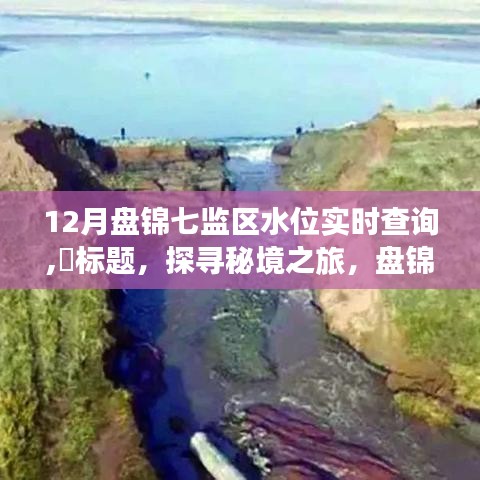 探寻盘锦七监区水位背后的故事，实时查询与秘境之旅