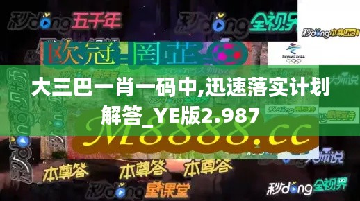 大三巴一肖一码中,迅速落实计划解答_YE版2.987