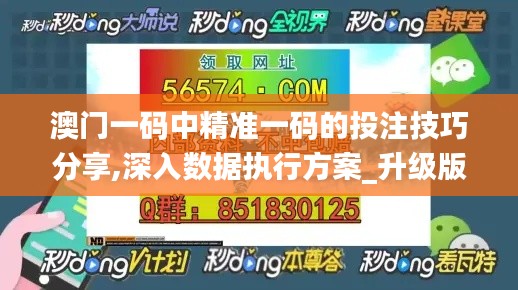 澳门一码中精准一码的投注技巧分享,深入数据执行方案_升级版10.784