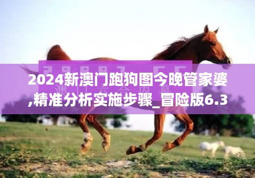 2024新澳门跑狗图今晚管家婆,精准分析实施步骤_冒险版6.318