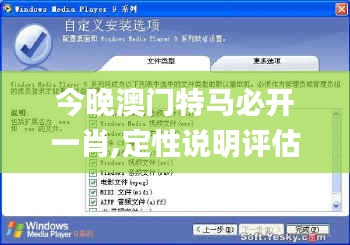 今晚澳门特马必开一肖,定性说明评估_XP5.263