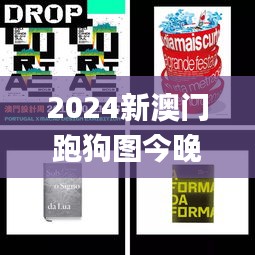 2024新澳门跑狗图今晚管家婆,实效设计计划解析_Ultra3.869