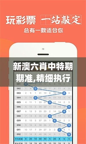 新澳六肖中特期期准,精细执行计划_BT18.479