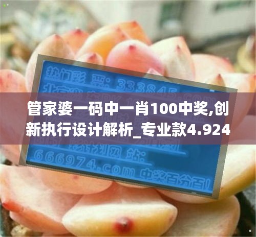 管家婆一码中一肖100中奖,创新执行设计解析_专业款4.924