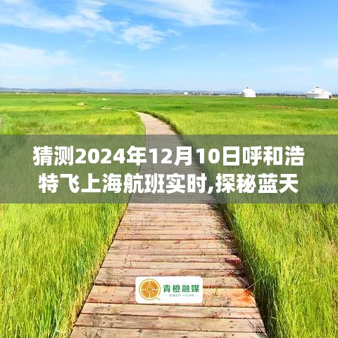 探秘蓝天之旅，猜猜看2024年呼和浩特至上海梦幻航班的启程时刻揭秘