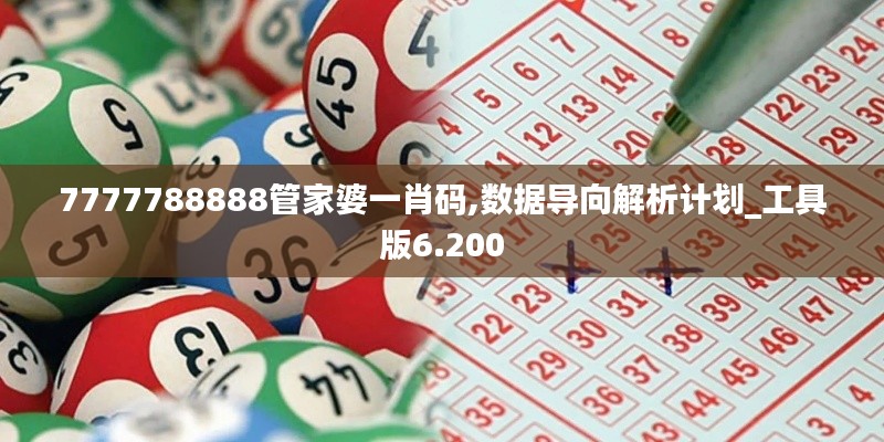 7777788888管家婆一肖码,数据导向解析计划_工具版6.200