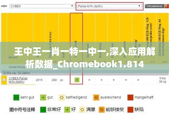 王中王一肖一特一中一,深入应用解析数据_Chromebook1.814