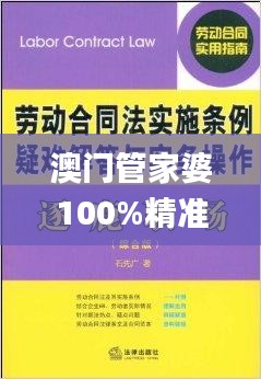 澳门管家婆100%精准,实践解答解释定义_特别版6.933