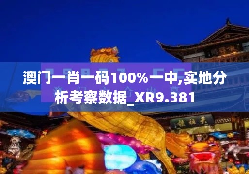 澳门一肖一码100%一中,实地分析考察数据_XR9.381