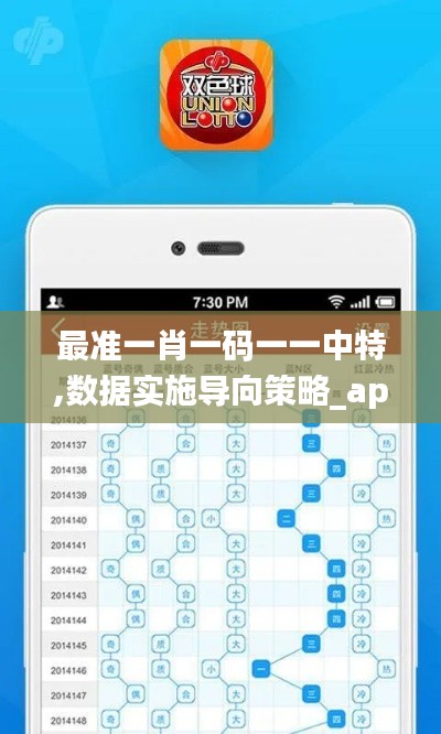 最准一肖一码一一中特,数据实施导向策略_app4.805