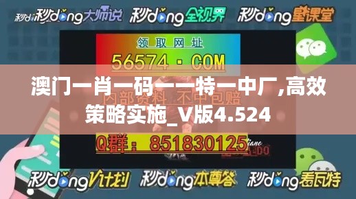 澳门一肖一码一一特一中厂,高效策略实施_V版4.524