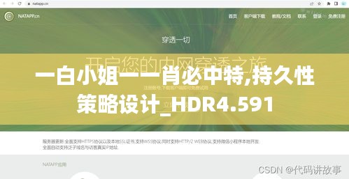 一白小姐一一肖必中特,持久性策略设计_HDR4.591