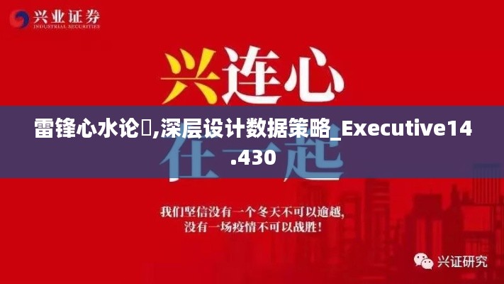 雷锋心水论枟,深层设计数据策略_Executive14.430