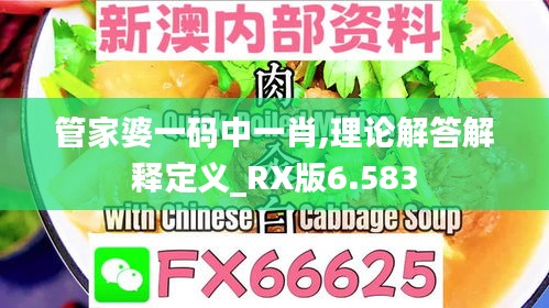 管家婆一码中一肖,理论解答解释定义_RX版6.583