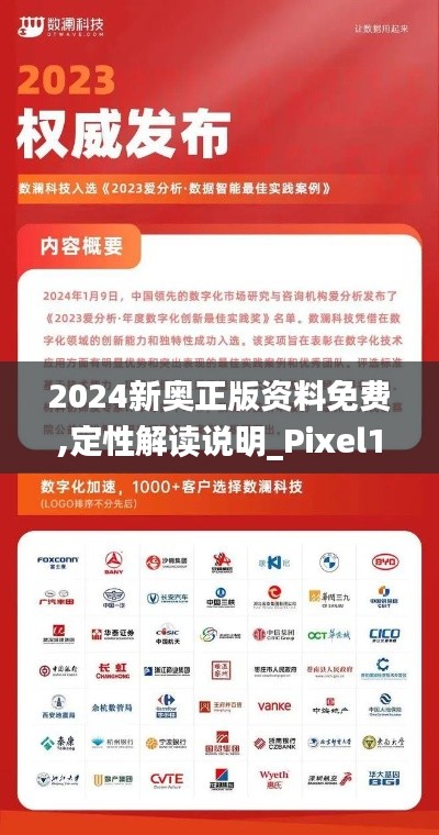 2024新奥正版资料免费,定性解读说明_Pixel110.574