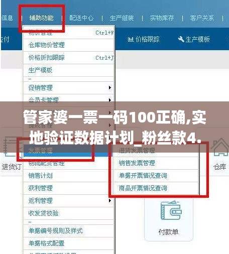 管家婆一票一码100正确,实地验证数据计划_粉丝款4.617