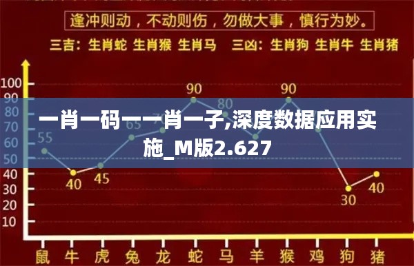 一肖一码一一肖一子,深度数据应用实施_M版2.627