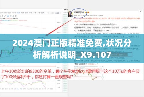 2024澳门正版精准免费,状况分析解析说明_X9.107