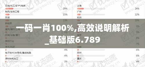 一码一肖100%,高效说明解析_基础版6.789