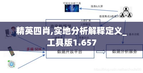 精英四肖,实地分析解释定义_工具版1.657