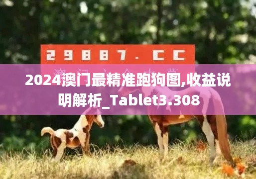 2024澳门最精准跑狗图,收益说明解析_Tablet3.308