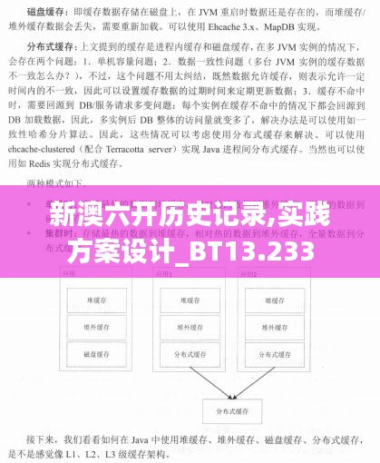 新澳六开历史记录,实践方案设计_BT13.233