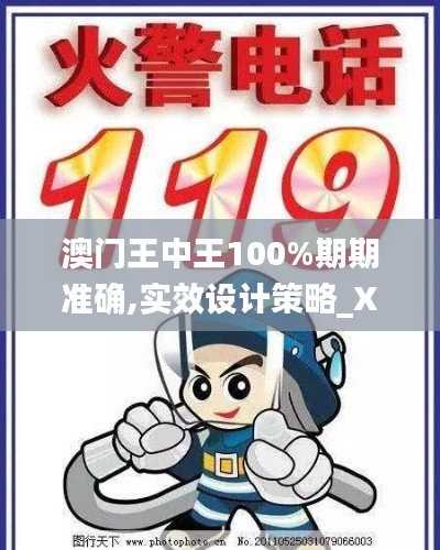 澳门王中王100%期期准确,实效设计策略_XR110.119