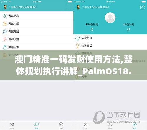 澳门精准一码发财使用方法,整体规划执行讲解_PalmOS18.764