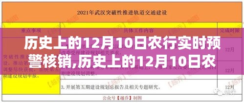 农行历史上的12月10日实时预警核销深度分析与观点阐述