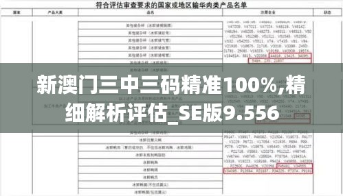 新澳门三中三码精准100%,精细解析评估_SE版9.556