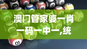 澳门管家婆一肖一码一中一,统计分析解释定义_基础版5.966