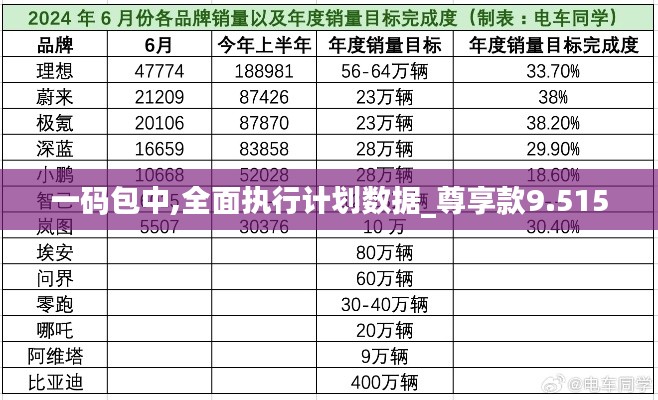 一码包中,全面执行计划数据_尊享款9.515