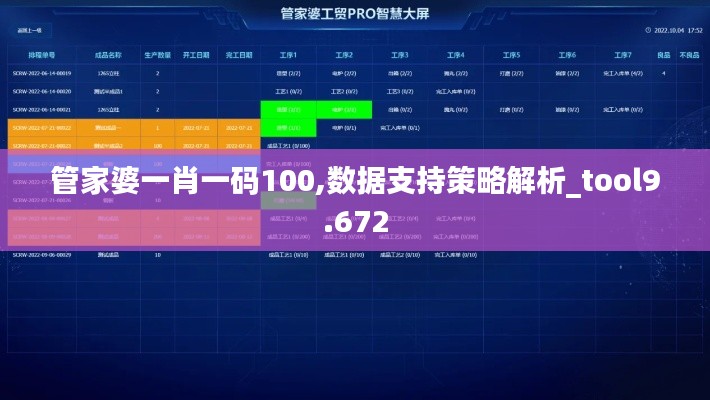 管家婆一肖一码100,数据支持策略解析_tool9.672