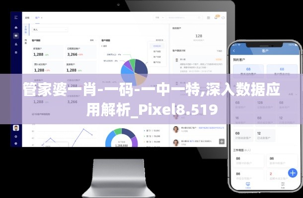 管家婆一肖-一码-一中一特,深入数据应用解析_Pixel8.519