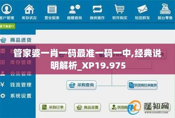 管家婆一肖一码最准一码一中,经典说明解析_XP19.975