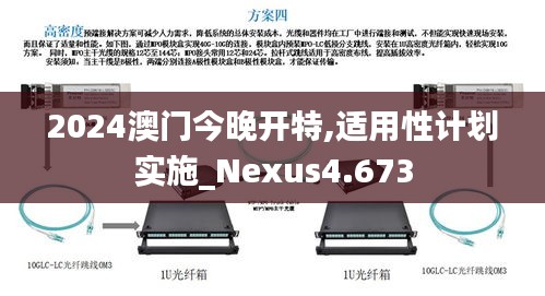 2024澳门今晚开特,适用性计划实施_Nexus4.673