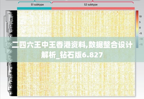 二四六王中王香港资料,数据整合设计解析_钻石版6.827