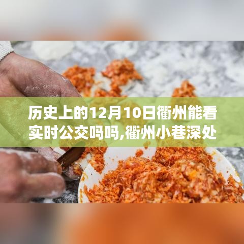 揭秘衢州公交历史变迁，时光小店探寻小巷深处的秘密与实时公交动态