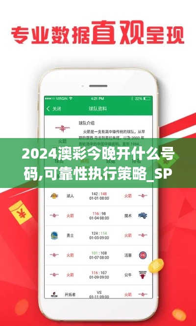 2024澳彩今晚开什么号码,可靠性执行策略_SP2.559