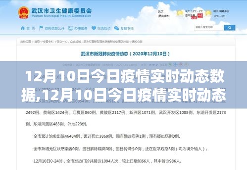 12月10日疫情实时动态数据与产品全面评测介绍