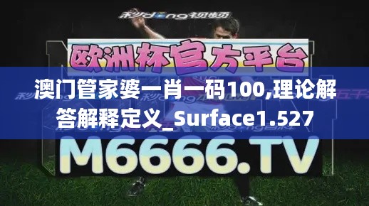 澳门管家婆一肖一码100,理论解答解释定义_Surface1.527