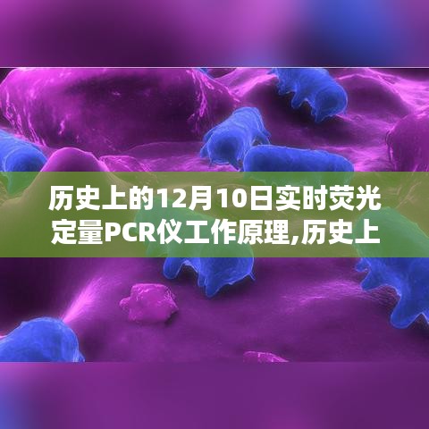 历史上的12月10日，实时荧光定量PCR仪工作原理深度解析与探讨