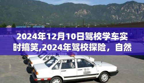 2024年驾校探险，学车奇遇与自然美景下的心灵平和之旅