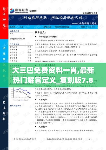 大三巴免费资料一肖,最新热门解答定义_复刻版7.819