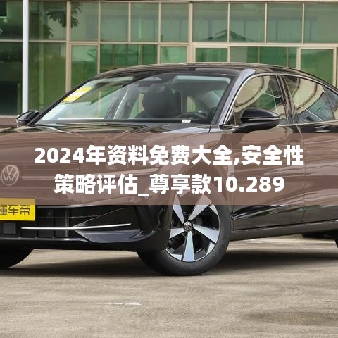 2024年资料免费大全,安全性策略评估_尊享款10.289