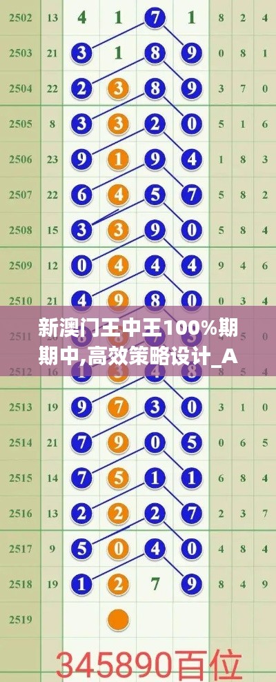 新澳门王中王100%期期中,高效策略设计_Advance11.229