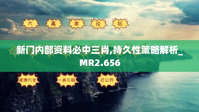 新门内部资料必中三肖,持久性策略解析_MR2.656