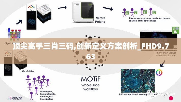 顶尖高手三肖三码,创新定义方案剖析_FHD9.763
