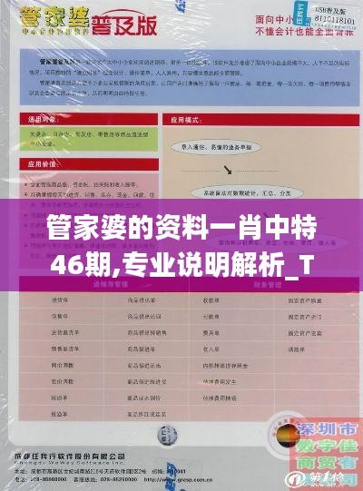 管家婆的资料一肖中特46期,专业说明解析_Tizen19.301