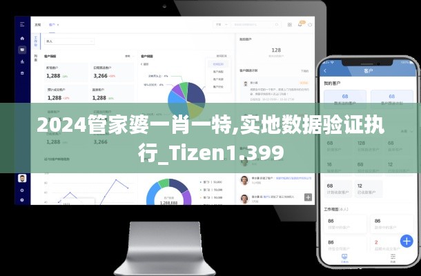 2024管家婆一肖一特,实地数据验证执行_Tizen1.399